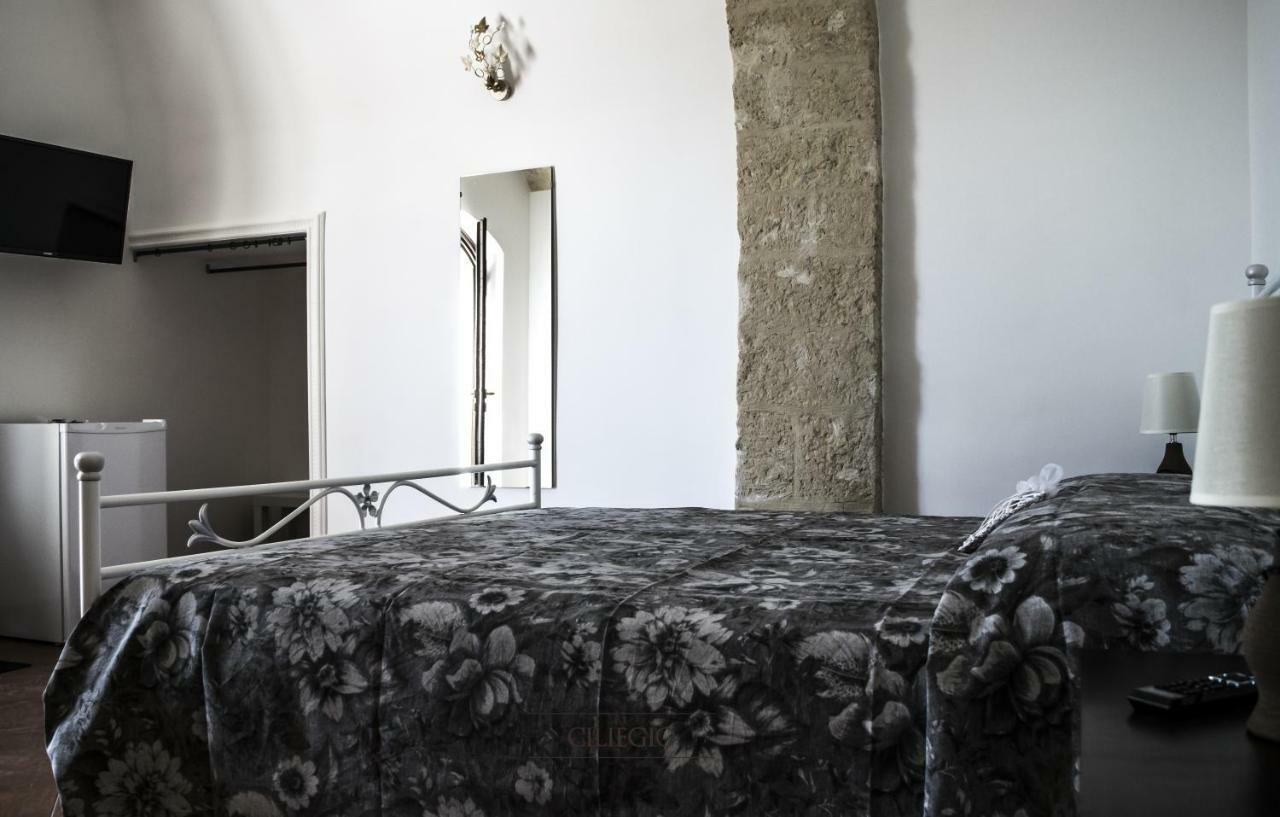 Tenuta Vigna Del Noce Corato Dış mekan fotoğraf
